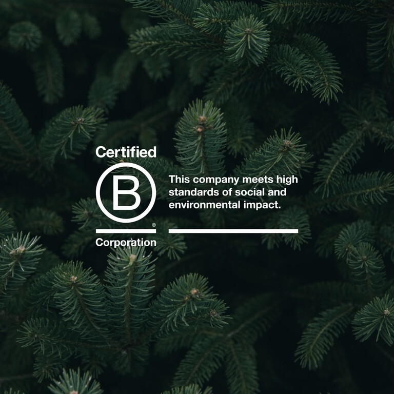 B Corp tagline