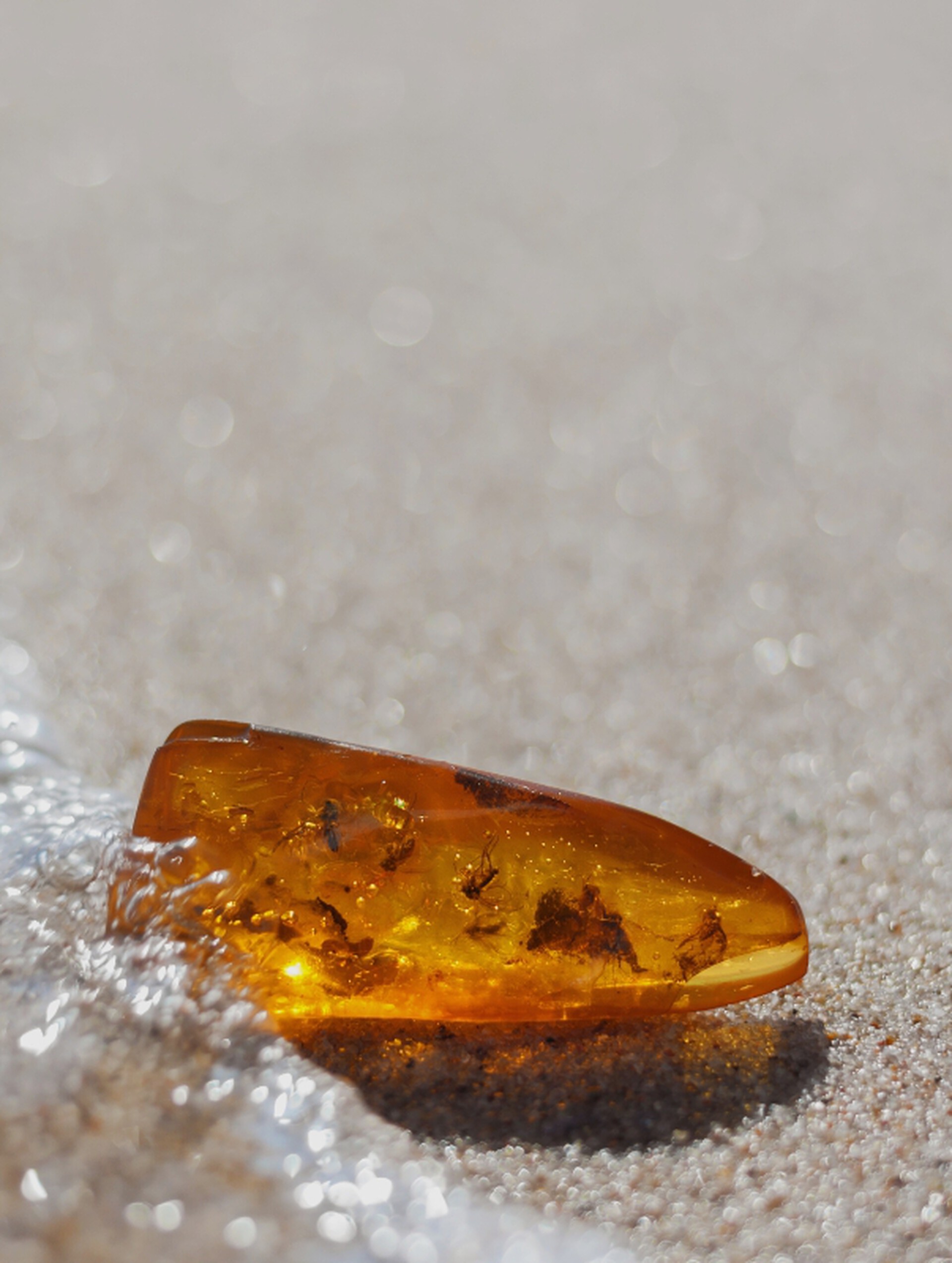 Baltic Amber