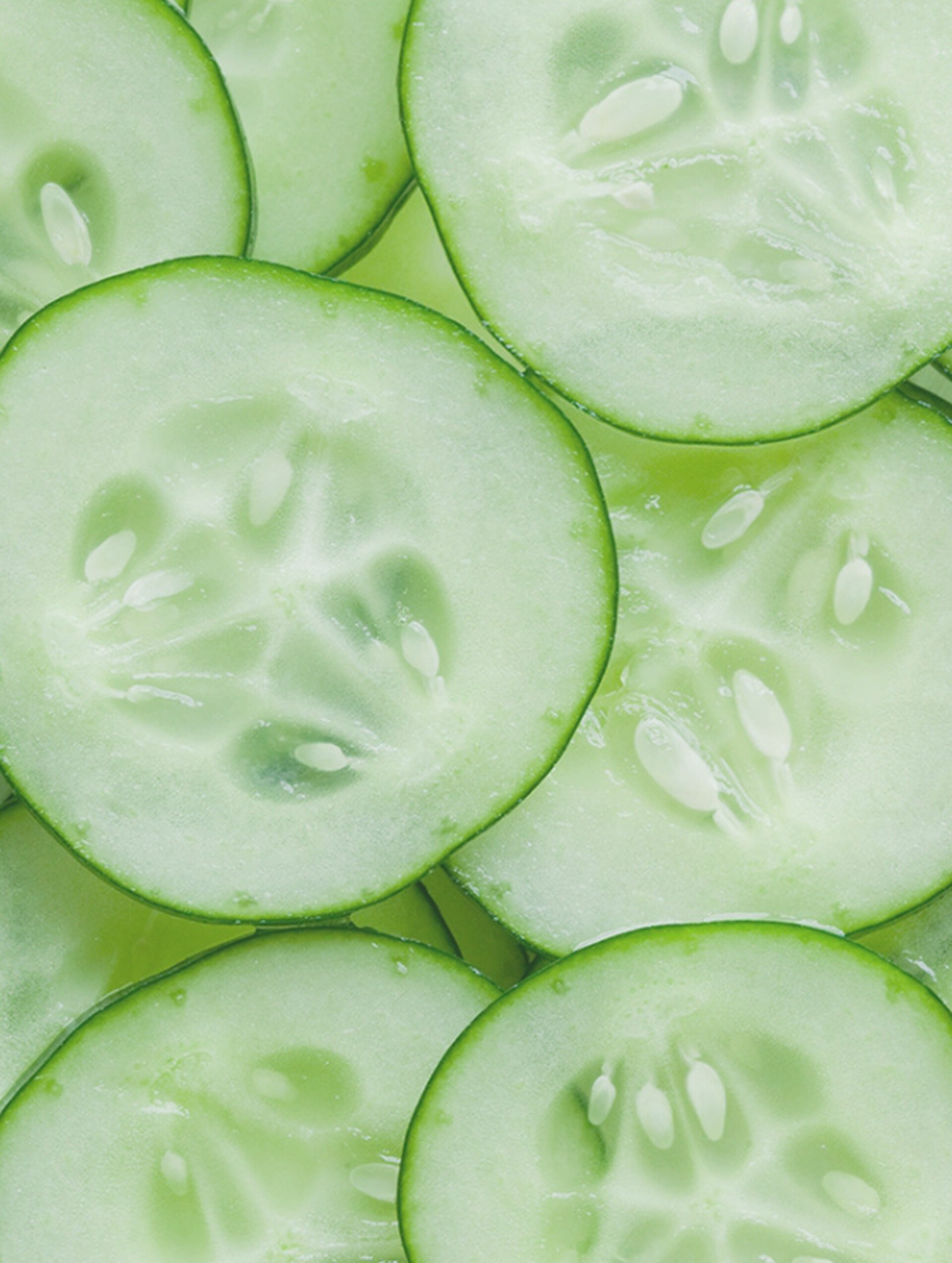 Cucumber