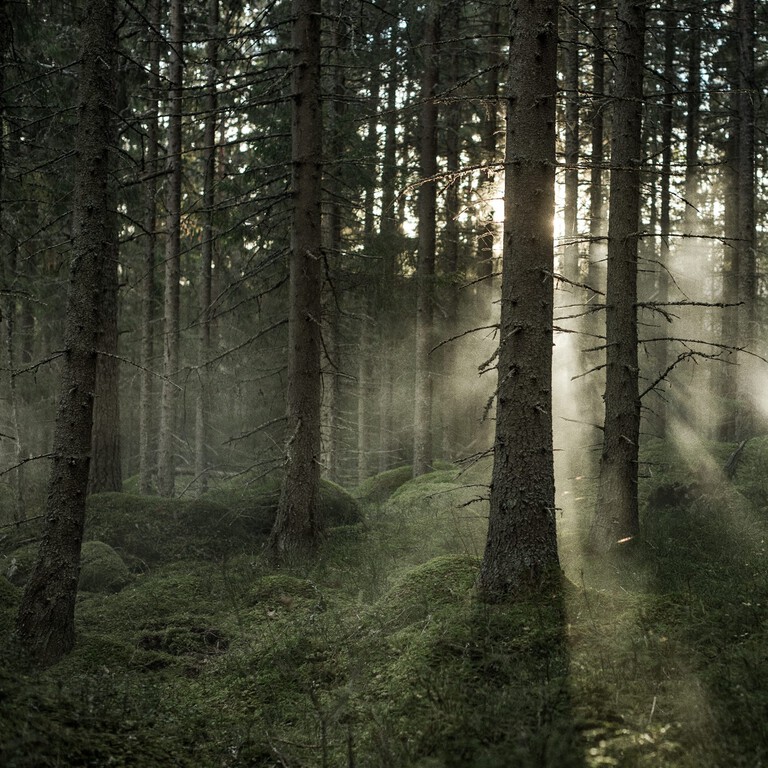 About us SKANDINAVISK