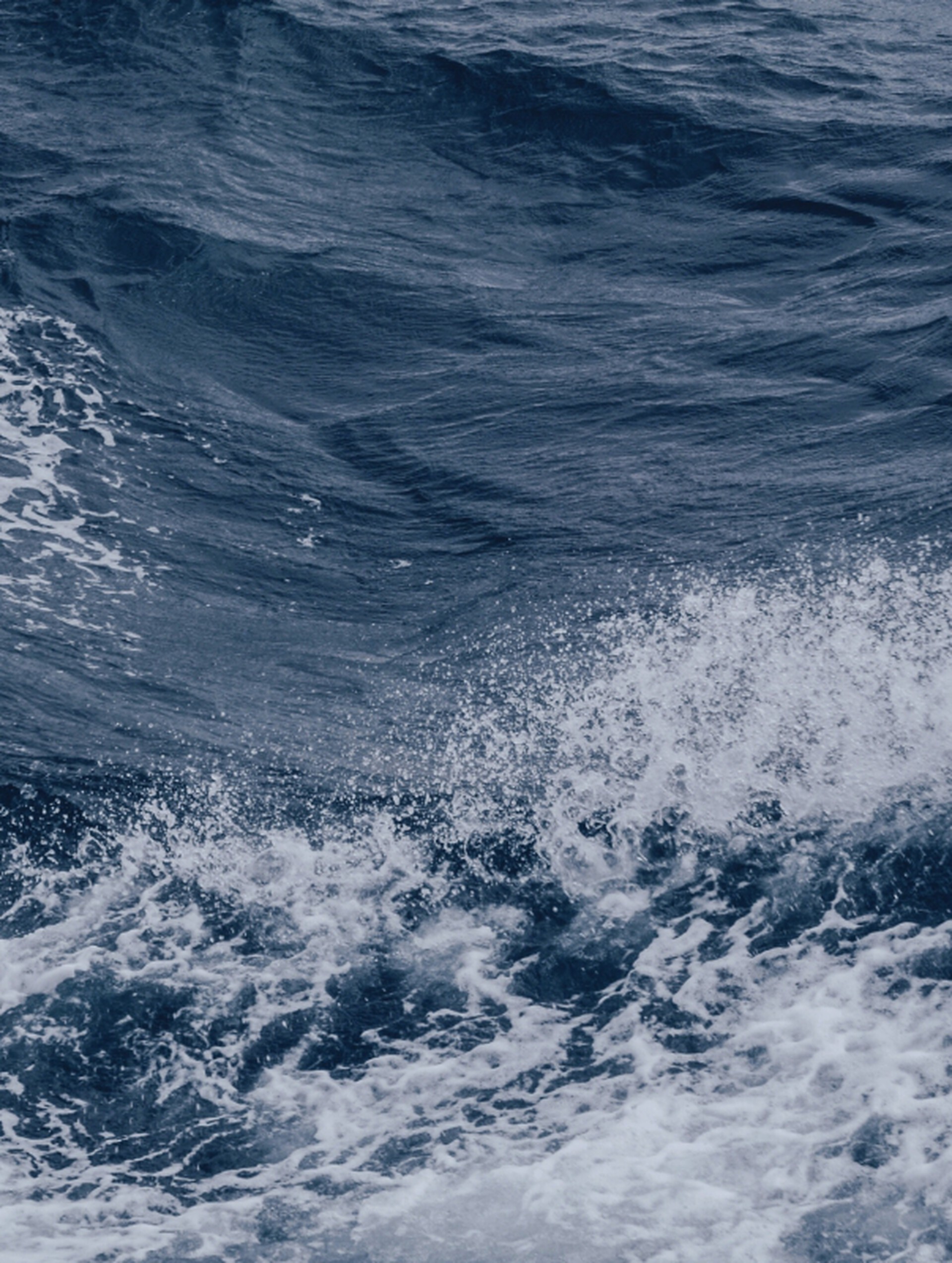 Sea Salt