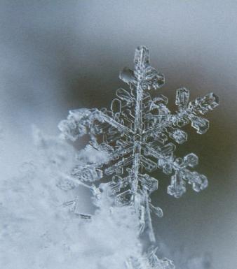 Snow Crystal